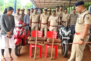 Sandalwood thieves arrested