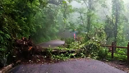 Himachal Disaster Update.