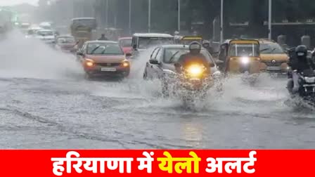 rain alert in haryana