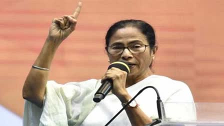 Man Enters Mamata Banerjee Residence