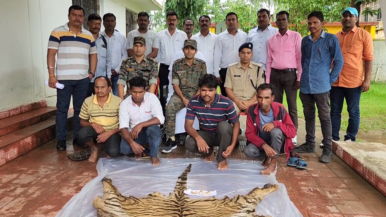 Tiger skin Smugglers Arrested