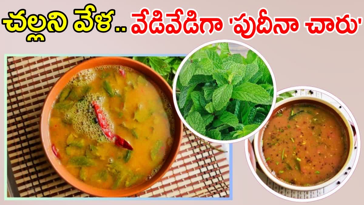 Mint Rasam