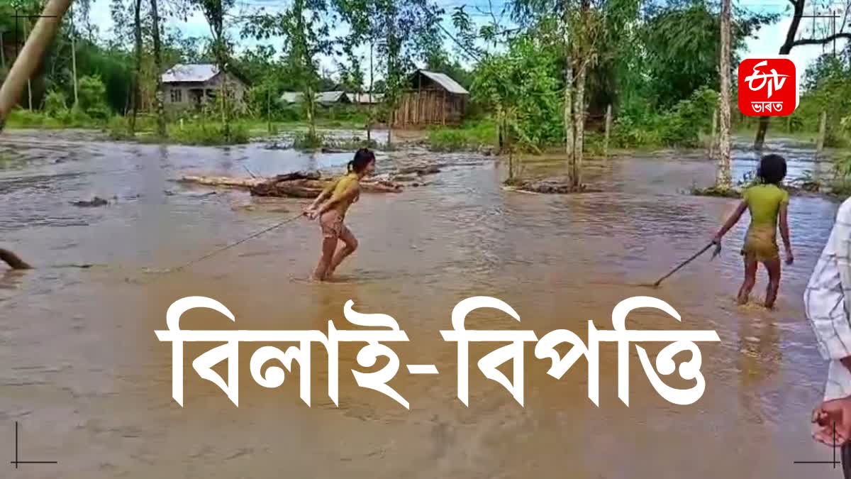 flood hits vast areas of Dhemaji revenue circle in dhemaji