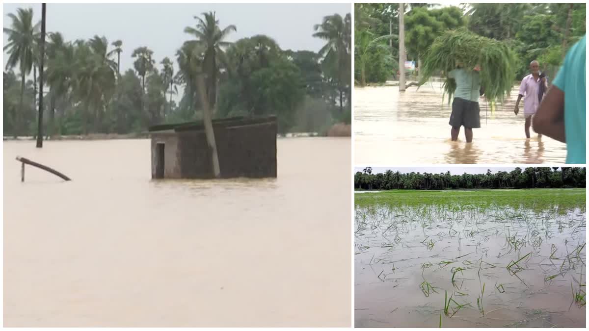 Rains_Effect_in_Joint_East_Godavari