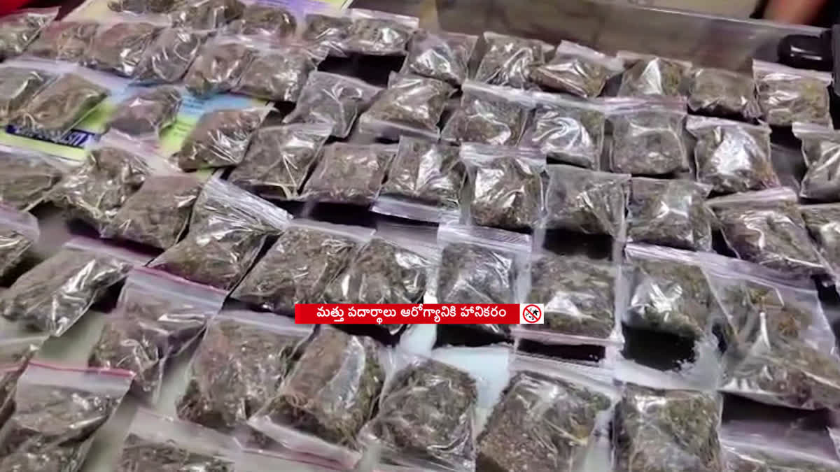 Police Arrested Ganja Selling Gang in Guntur District