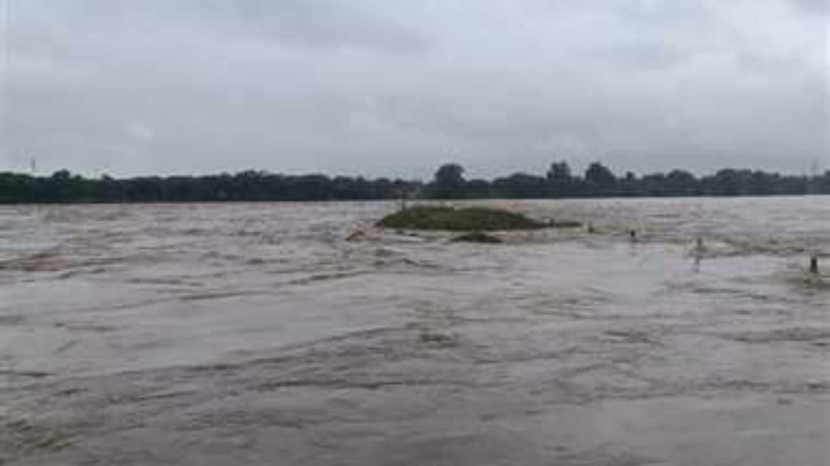 Shivnath river fishes death Case