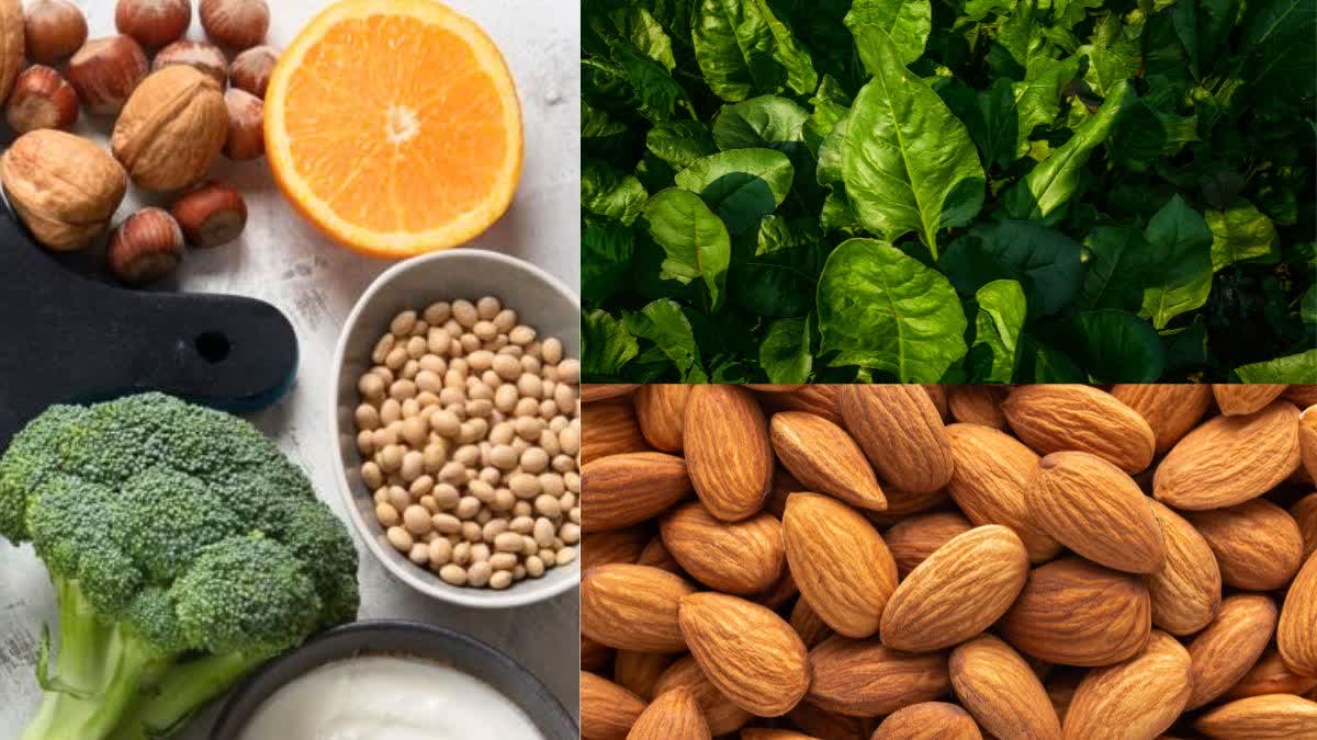 8 Calcium Rich Foods