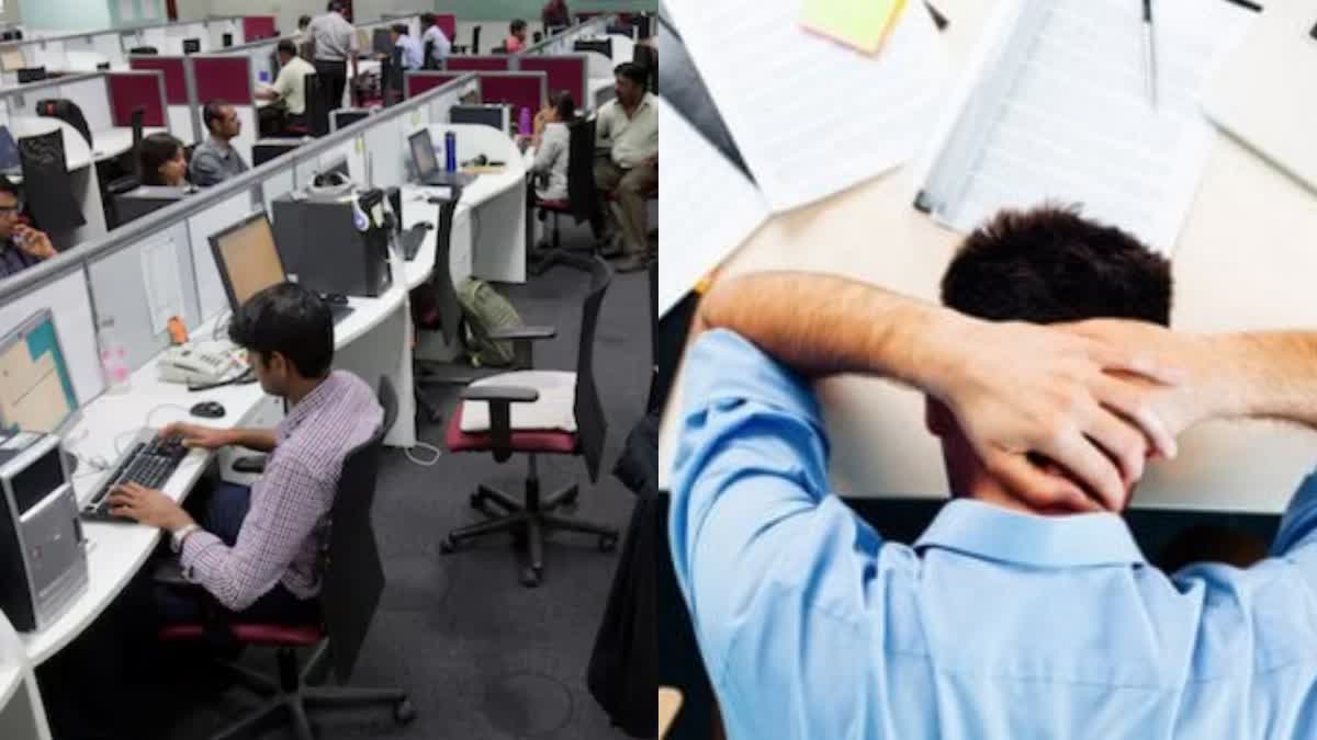 IT EMPLOYEES WORKING HOURS