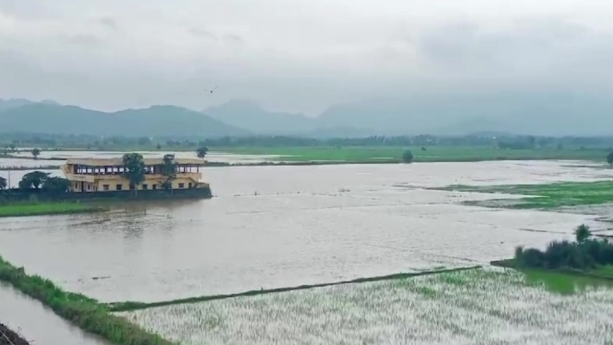 Flood Effect in Andhra Pradesh