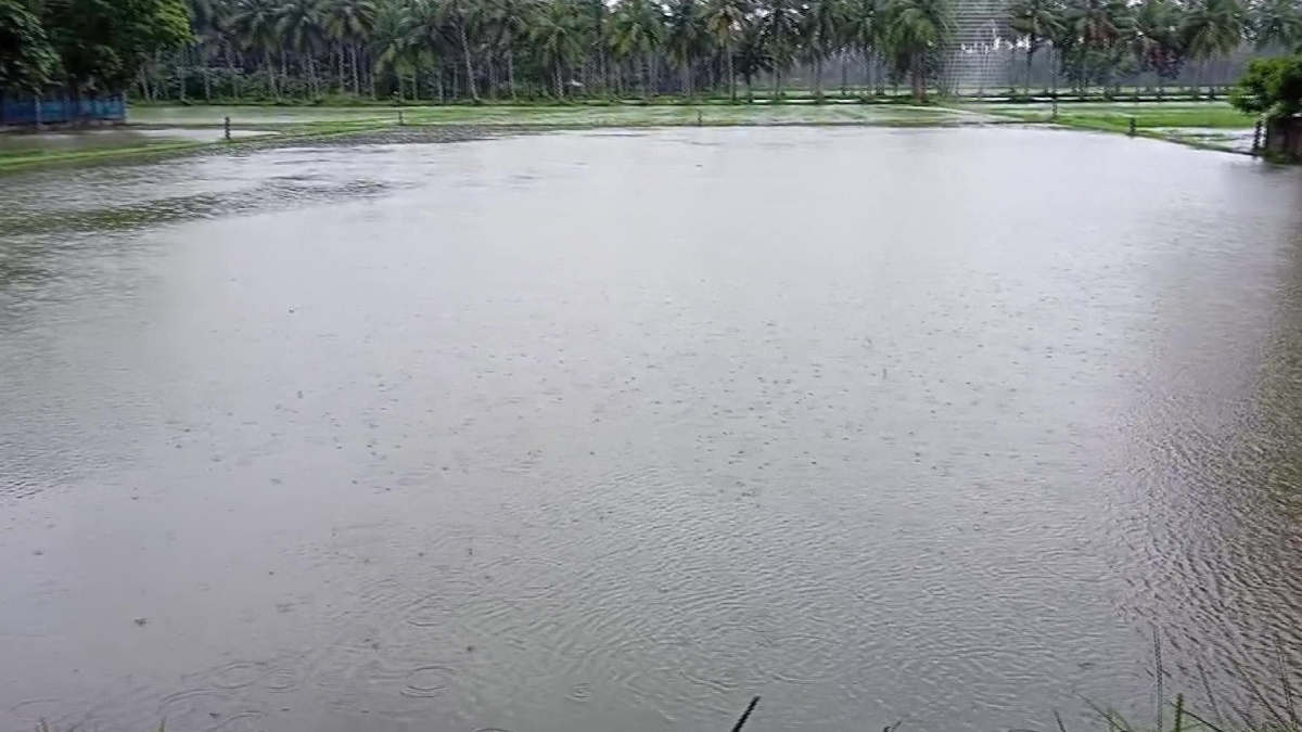 Flood Effect in Andhra Pradesh