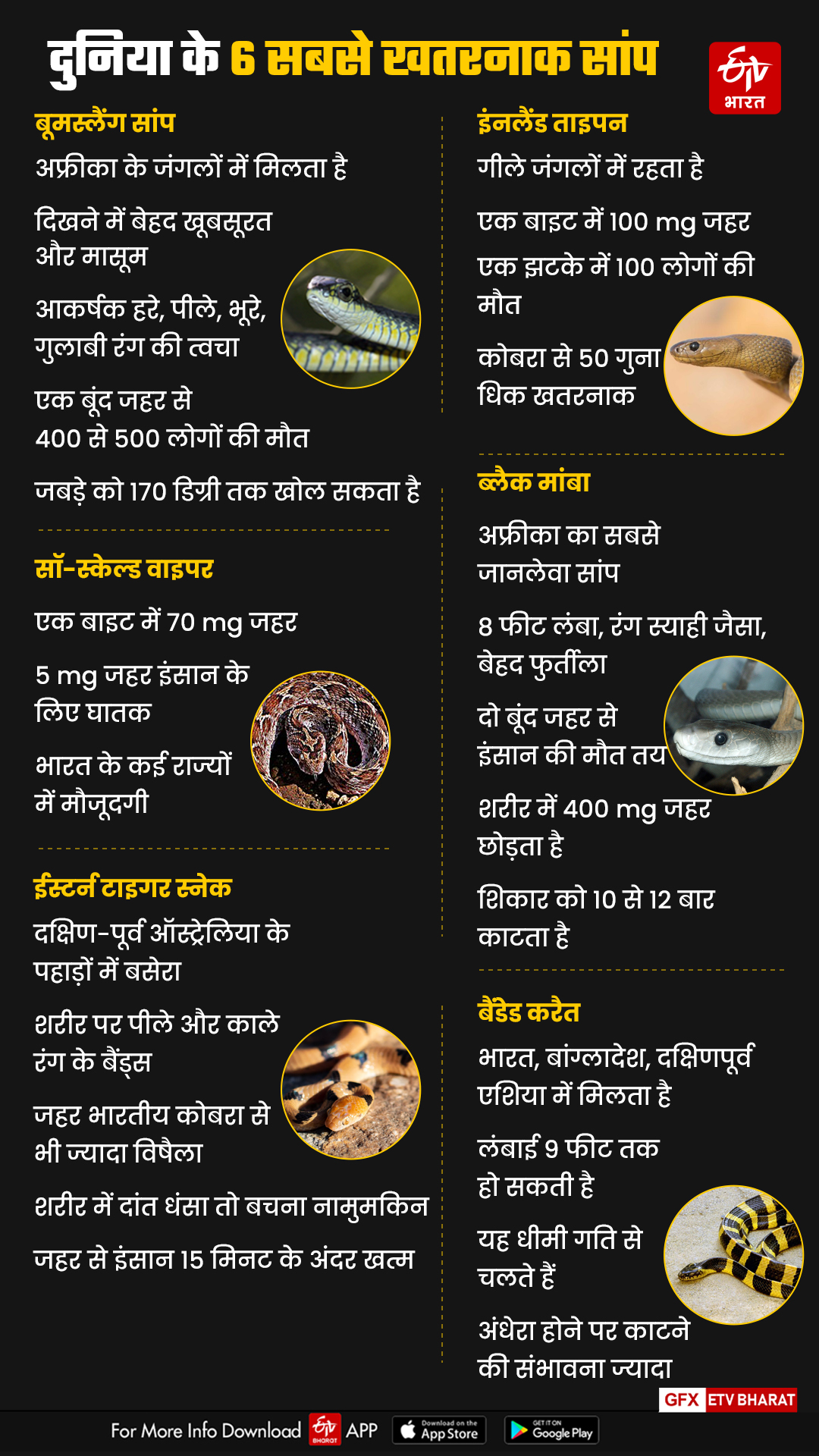 world dangerous snake list see details