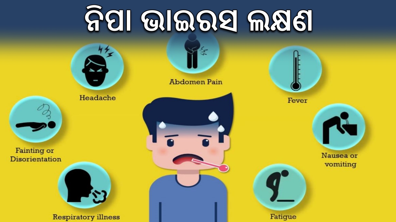 ନିପା ଭାଇରସ