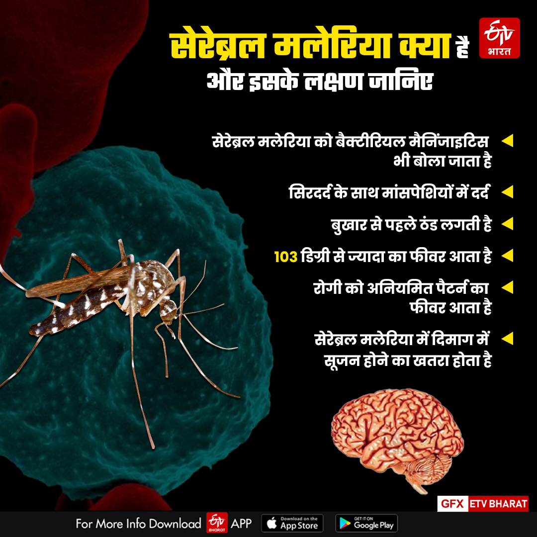 Symptoms of cerebral malaria