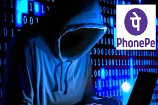 Cyber Fraud In Jaipur 4 Crore rupees fraud with PhonePe company in Jaipur 2 arrested