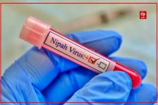 Nipha Outbreak Kerala: Health Department releases 14-year-old Nipah Patient 'Route Map'