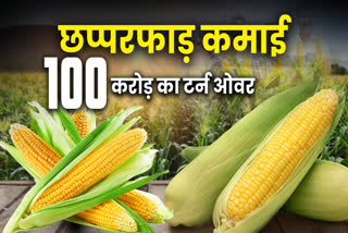 SWEET CORN 100 CRORE TURNOVER