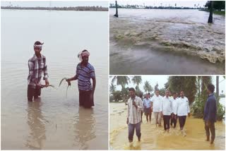 Heavy Rains in Combined West Godavari District