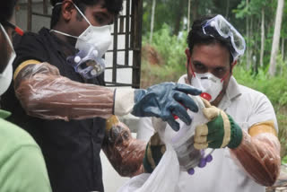 Kerala: Malappuram boy infected with Nipah dies, wearing mask mandatory