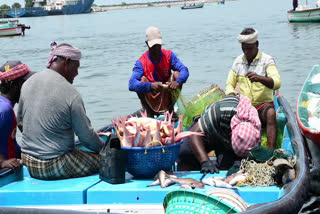 FISH PRICES HAVE FALLEN  മത്സ്യവിലയില്‍ ഇടിവ്‌  FISH IN KERALA DURING MONSOON  ട്രോളിങ്‌ നിരോധനം