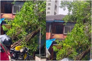 Mumbai Rain