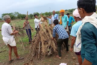 RAJGARH MONKEY CREMATED