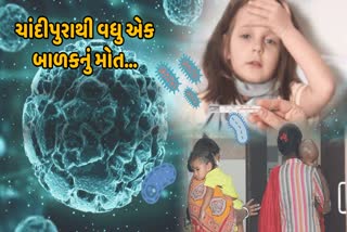 મહેસાણા જિલ્લામાં શંકાસ્પદ ચાંદીપુરા કેસથી 7 મહિનાના બાળકનું મોત,