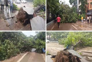 heavy rain in Chhattisgarh