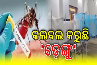 DENGUE CASES RISE IN ODISHA