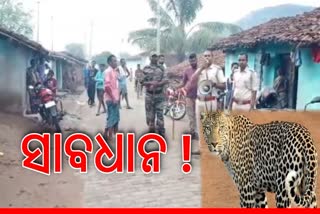 LEOPARD SPOTTED IN NAAMAN FOREST OF NUAPADA DISTRICT