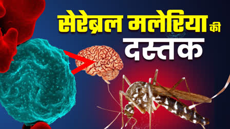 MALARIA SPREAD IN CHHATTISGARH