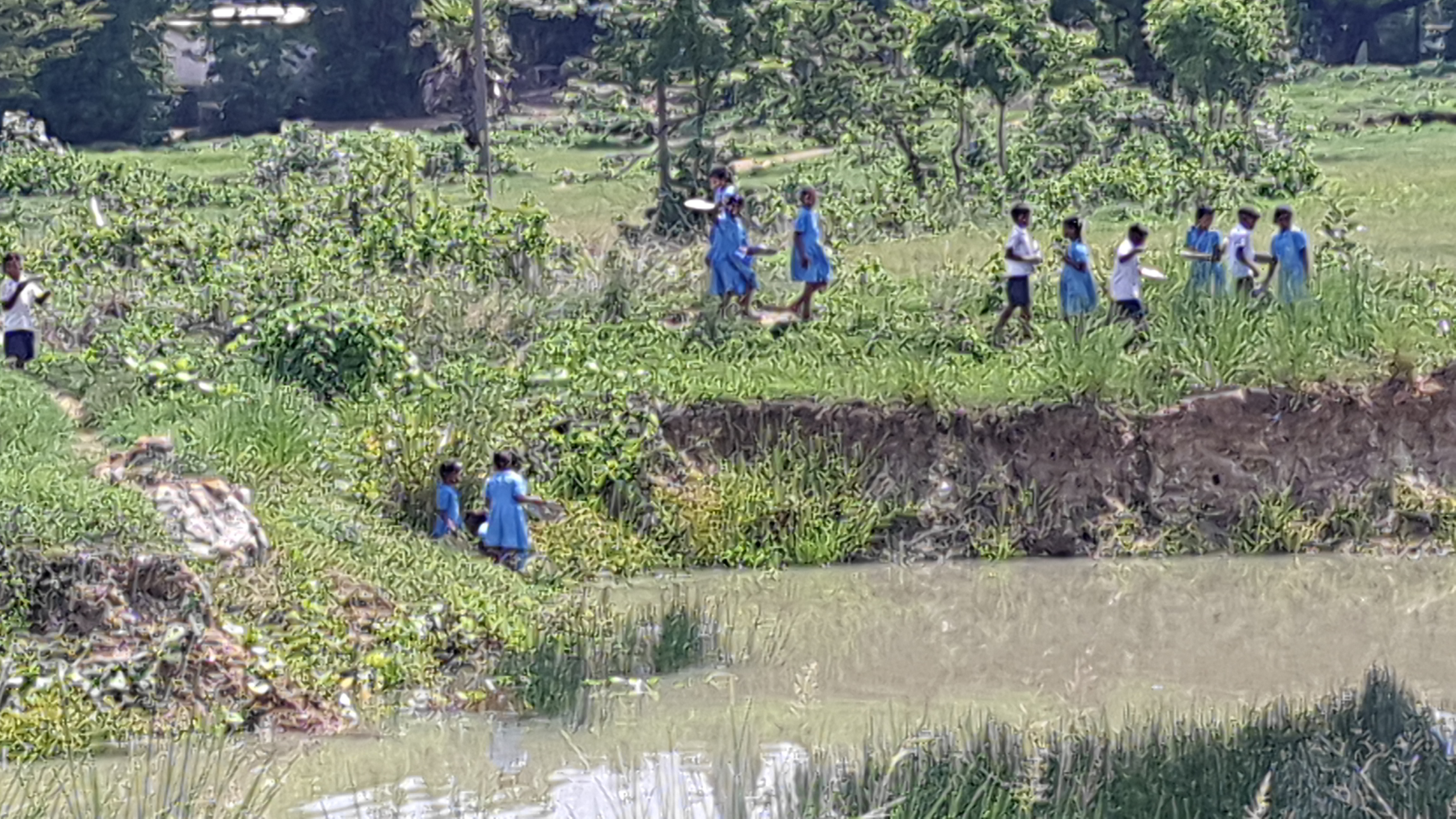 Students working as labour in School premises