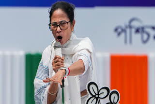 MAMATA BANERJEE