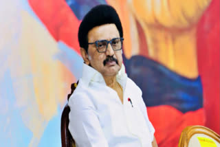 Tamil Nadu CM Stalin Hospitalised After Mild Giddiness During Morning Walk