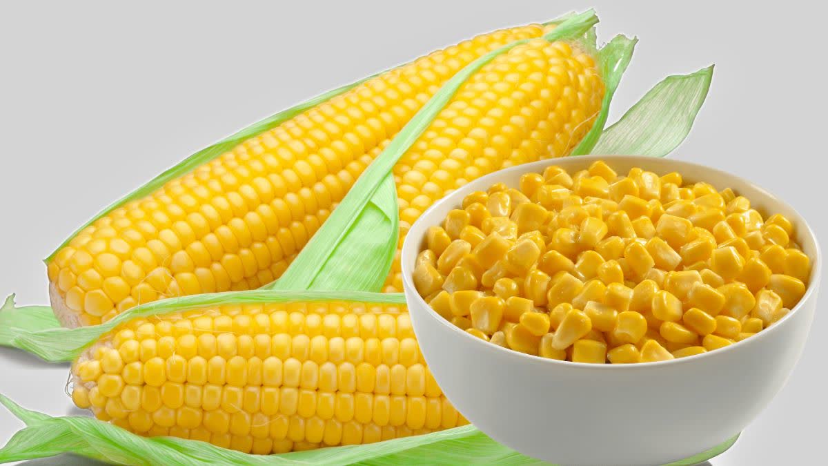 Corn Benefits