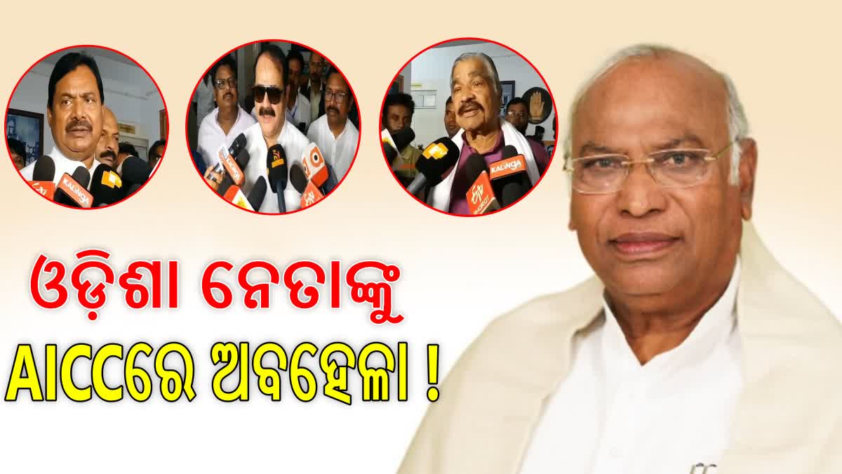 ଖଡ୍‌ଗେଙ୍କ ନୂଆ ଟିମ୍‌ରେ ଓଡ଼ିଶା ନେତାଙ୍କୁ ଅଣଦେଖା