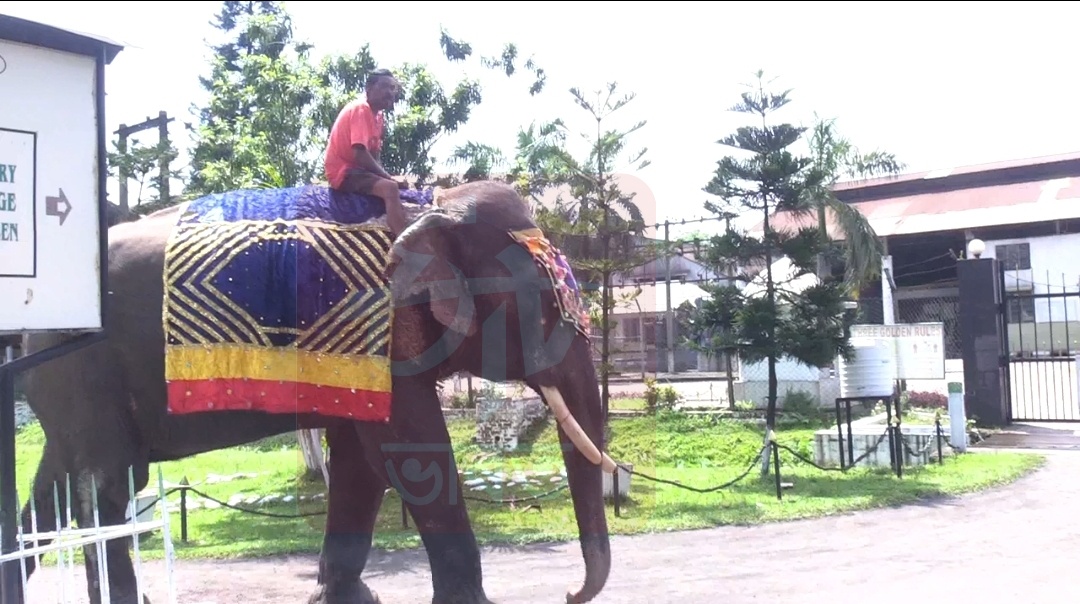 World's Oldest Asiatic Elephant Bijuli Prasad