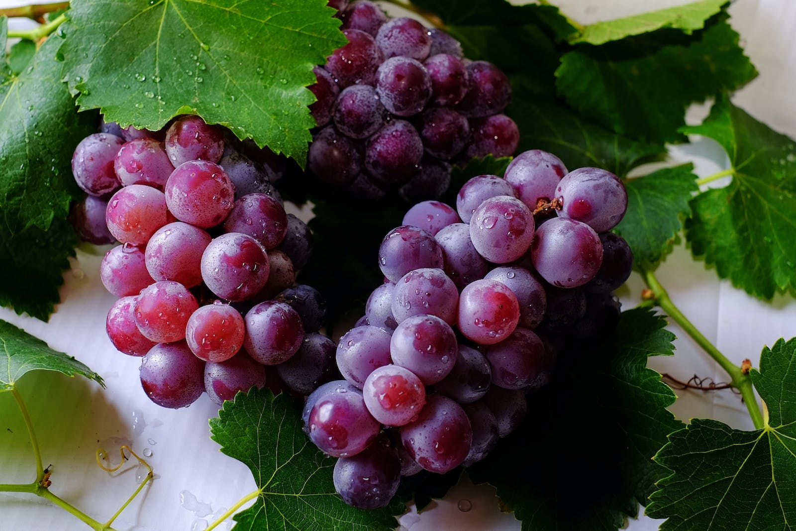 Grapes provide relief from these 5 diseases