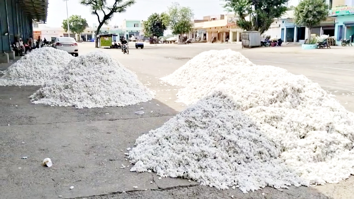 nuh Punhana Grain Market