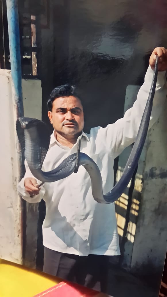 bhopal famous snake expert sheikh salim