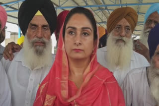 For the sake of zero bill, Chief Minister Mann has done Punjab: Harsimrat Kaur Badal