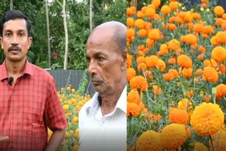 Flower krishi  Flower farming  Flower farming at kollam  kollam  flowers  chendumalli  kollam flowers farming  onam  onam flowers  onam news  onam farming news  onam flowers farming news malayalam  malayalam onam related news  onapookrishi  father and son  പൂ കൃഷിയിൽ വിജയഗാഥ രചിച്ച് അച്ഛനും മകനും  അത്തം  ഗരവാസികൾക്ക് പൂക്കളമൊരുക്കാൻ പൂങ്കാവനം  ബൈപ്പാസ് റോഡിൽ നീരാവിൽ പാലത്തിന് സമീപം  പൂക്കളമൊരുക്കി  മാവേലി തമ്പുരാനെ വരവേൽക്കാൻ  പൂങ്കാവനമൊരുക്കി മാതൃകയാവുകയാണ് ഒരച്ഛനും മകനും  നിറപുഞ്ചിരിയോടെ തലയുർത്തി നിൽക്കുന്ന ചെണ്ടുമല്ലി  പ്രവാസ ജീവിതം അവസാനിപ്പിച്ച്  ഓണത്തപ്പനെ വരവേൽക്കാൻ  കാടുകയറിയ പറമ്പുകൾ അച്ഛനും മകനും കൃഷിയോഗ്യമാക്കി  ഓണത്തിനുള്ള പൂക്കൾ കൃഷി  success story in flower farming  കുളിർമയേകുന്ന ഈ പൂക്കളുടെ ദൃശ്യവിരുന്ന്