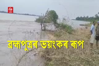 Massive Erosion at Dibrugarh