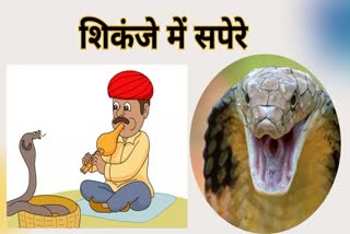 Snake charmers Arrest in jabalpur
