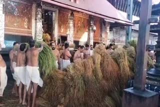 Illamnira Celebration in Guruvayoor  സമൃദ്ധിയുടെ പ്രതീകമായി ഇല്ലംനിറ  ഗുരുവായൂര്‍ ക്ഷേത്രത്തിലെ ചടങ്ങുകള്‍ ഭക്തിസാന്ദ്രം  ഇല്ലം നിറ  ഇല്ലംനിറ ചടങ്ങുകള്‍  തൃശൂര്‍ വാര്‍ത്തകള്‍  തൃശൂര്‍ ജില്ല വാര്‍ത്തകള്‍  തൃശൂര്‍ പുതിയ വാര്‍ത്തകള്‍  kerala news updates  latest news in kerala  ഗുരുവായൂര്‍ ക്ഷേത്രത്തിലെ ഇല്ലംനിറ ചടങ്ങുകള്‍