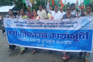 Trinamool Congress Protest against price hike