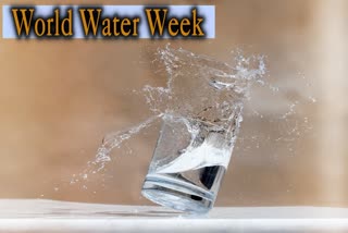 Etv BharatWorld Water Week 2023