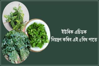 Healthy Leaves: These 5 miraculous leaves will eliminate the increased uric acid in the body, eat daily