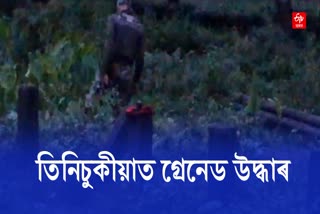 Grenade Recovered from Oils Hapjan OCS in Tinsukia