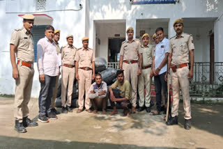 2 smugglers arrested with doda sawdust in Chittorgarh