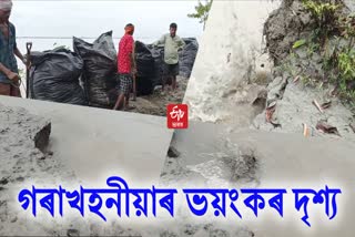 Brahmaputra river erosion continues alarmingly in Saikhowa
